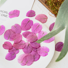 ���z����÷�滨DIY���h�����滨�ֹ��Ʒ���z����ɭϵ�Ʒ���