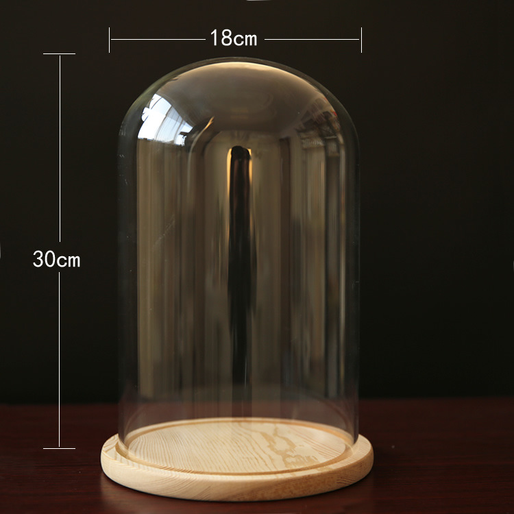 Fábrica eterna flor cubierta de vidrio creativo artesanía decoración transparente florero de cristal soporte varios tamaños