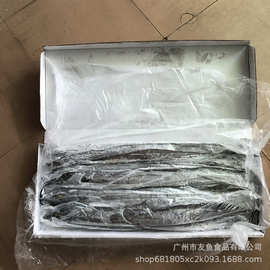 冷冻原条带鱼批发海水刀鱼新鲜整条带鱼20斤/箱大条500-700克/条