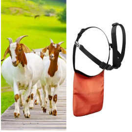 山羊防交配裙 山羊防配种围裙 可重复使用山羊肚兜 畜牧配件