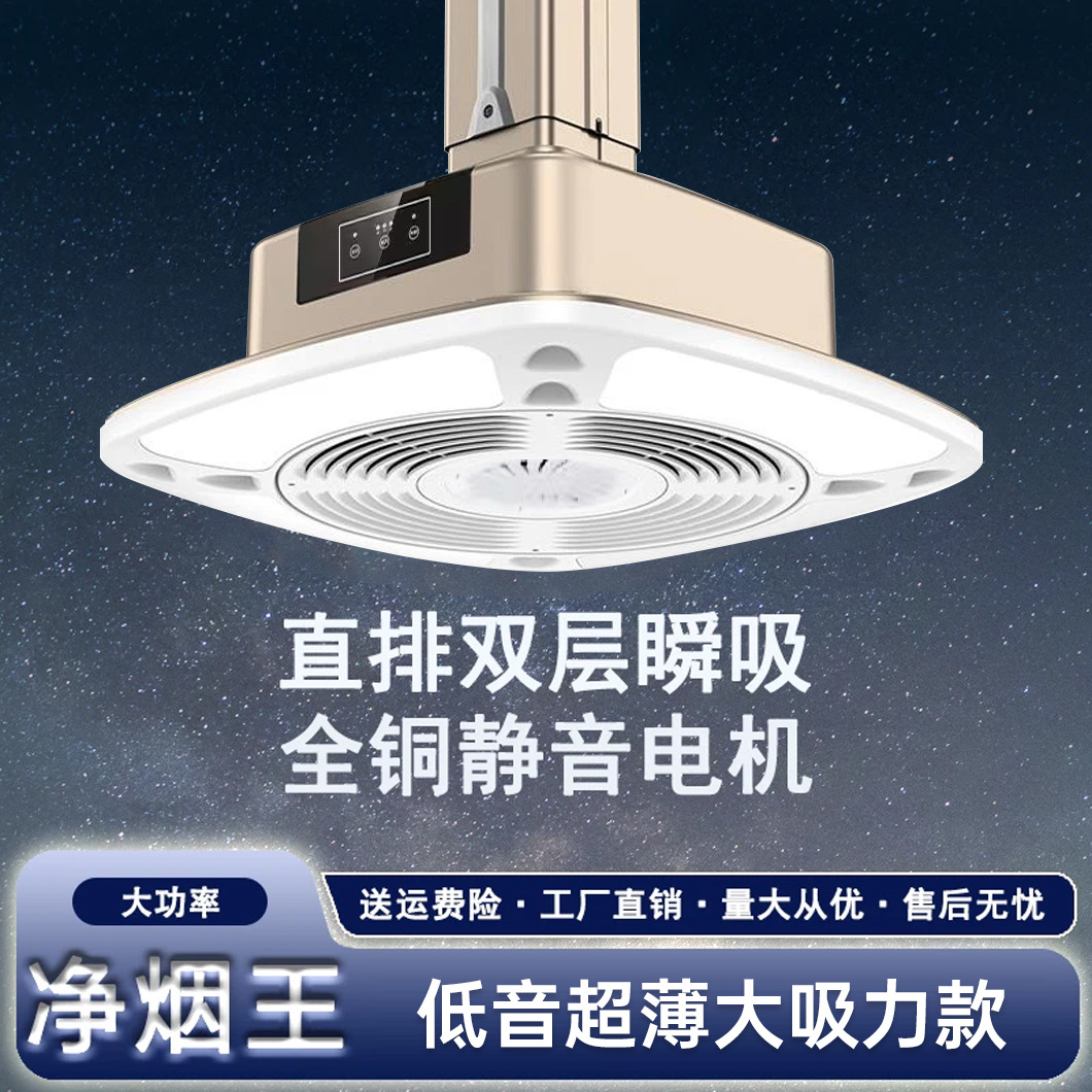 [외부열] 특수흡연 넉넉한 스크린 광각조명 샴페인 컬러