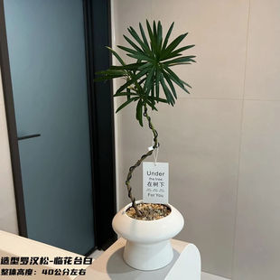 �����_�h�ɾGֲ�����׻��ļ��L���҃��k��������͏d����ֲ���辰