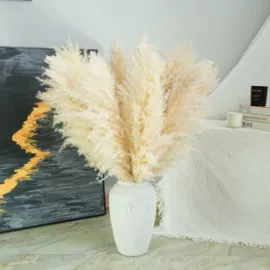 干花;永生花;鲜花花艺制品