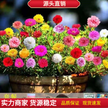 �ذ�̫ꖻ����N�ӻ����ļ��_���҃Ȼ����׻�����N�ݴ�ȫ���N����