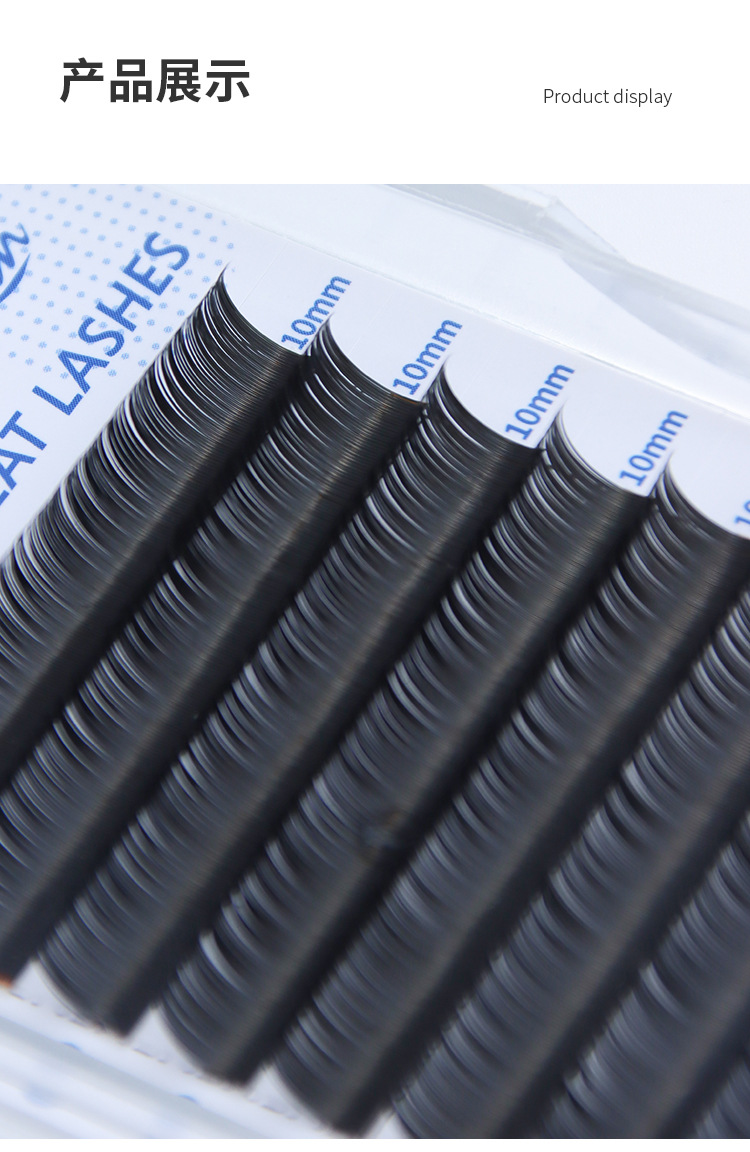 单根扁毛双尖扁毛 单根扁毛双尖扁毛