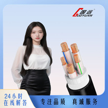 yjv|˼~2о2.54610162535507095120ƽ늾~оԴ