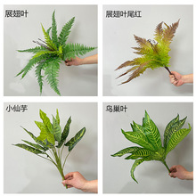 仿真绿植装饰配草波斯叶蕨类尤加利叶子插花配草叶北欧风植物搭配