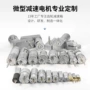 低速减速定制微型小马达