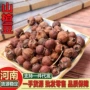 河南小叶正品中药材豆