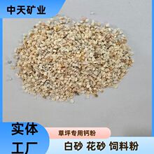 ��ɰ ā�ӷی��ú��}���� Դ�^�S�� �F؛ֱ�l ���I ���B�û�ɰ