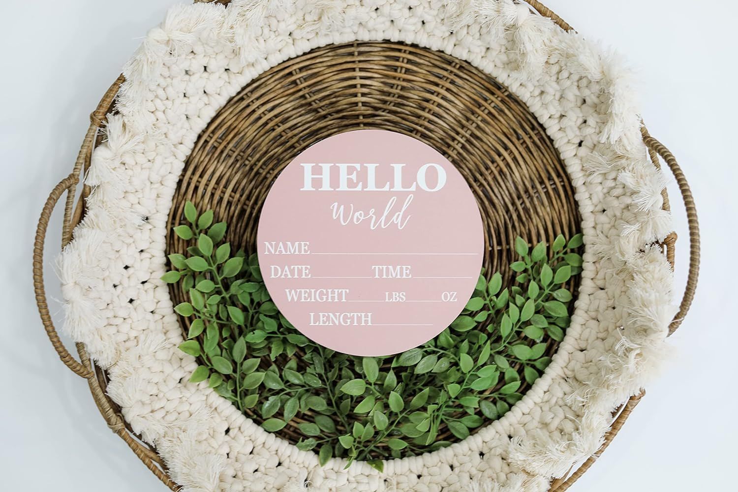 Hickory Hollow diseño-Logotipo de boletín de bebé diseñado para niños y niñas nuevos (base de color)-