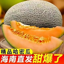 �����r����ֱ�l���ܹ�9��W�y�۹ϱ�Ƥ�������rˮ������������]