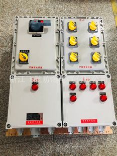 Explosion-proof lighting power distribution box explosion-proof control box steel plate box