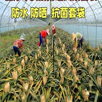 Утолщенная солнцезащитная сумка для ананаса, золотой кирпич, сумка для фруктов, сумка для фруктов, водонепроницаемая защитная сумка из крафт-бумаги с защитой от насекомых