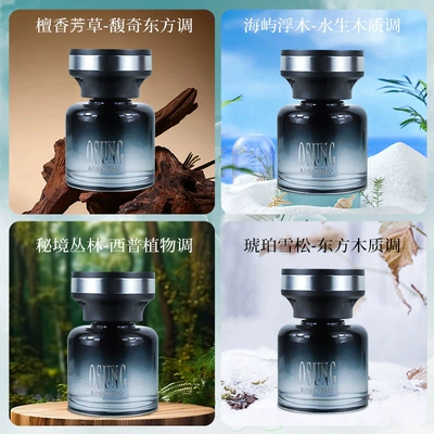 Alcohol Light Luxury Advanced Sense — Car Perfume Aromatherapy