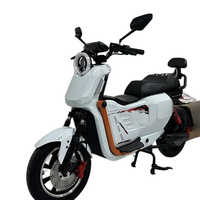 Takeout Delivery, Ultra-Long Range Electric | Elektrikli motosikletlər