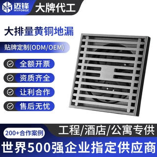 定制全铜大排量地漏卫生间 卫生间淋浴防堵防虫防反味 快速排水款