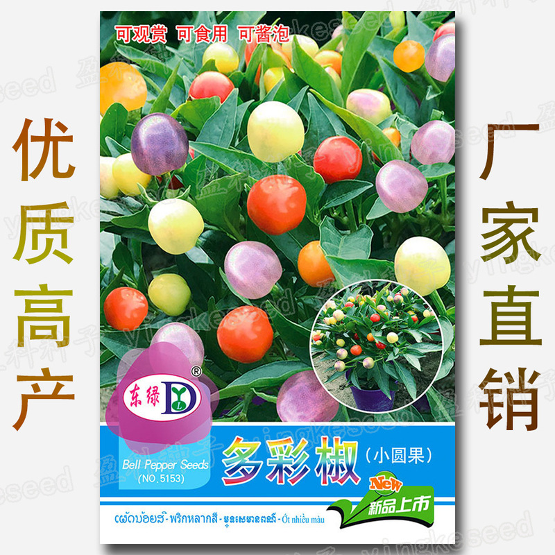 Colorful Pepper Seeds, about 50 Edible Pickled Pepper Seeds, Potted Small Round Fruits, Small Spicy Fruit Pepper Seeds Wholesale Colorful Pepper Seeds, about 50 Edible Pickled Pepper Seeds, Potted Small Round Fruits, Small Spicy Fruit Pepper Seeds Wholesale