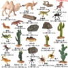 Desert flora and fauna scenes (24 sets)