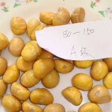 �L�ڹ���������  ���r���� �ك������� �r�񃞻ݡ�