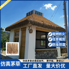 其他景观材料;跑道草坪
