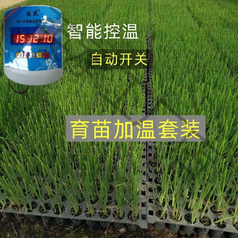 农用育苗加热线大棚温控地热线电加热线温控器加温线温室空垒德株