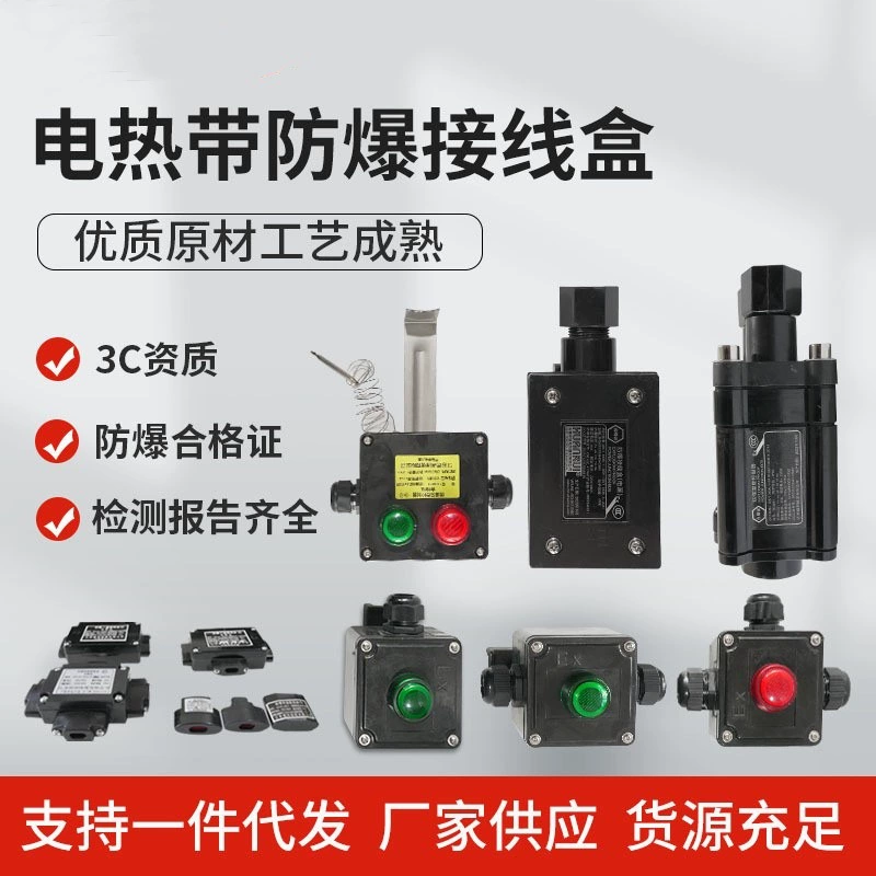 Взрывозащищенный регулятор температуры с лампой Распределительная коробка клемм с электрическим нагревом Морская Взрывозащищенная Двусторонняя трехсторонняя коробка с лампой