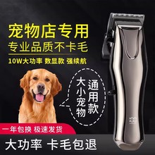 ������ë�����I������Ƽ���������ӌ���ꌣ�ô���Ȯ����