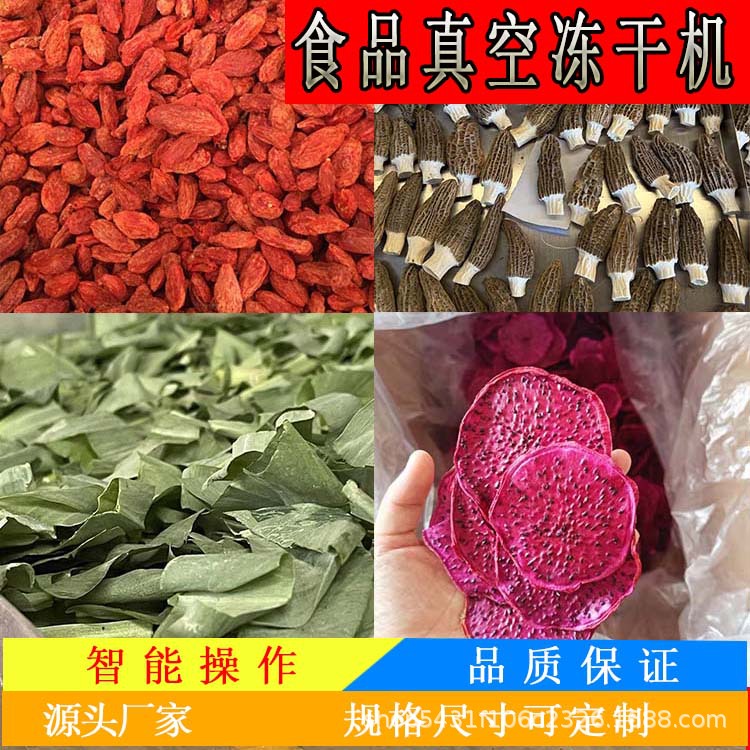 榴莲干真空冻干机 海参低温干燥机 冬虫夏草冻干设备
