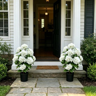 �羳�������潑������ ���R�d���NͥԺ�b� ���b��ɲ���滨��