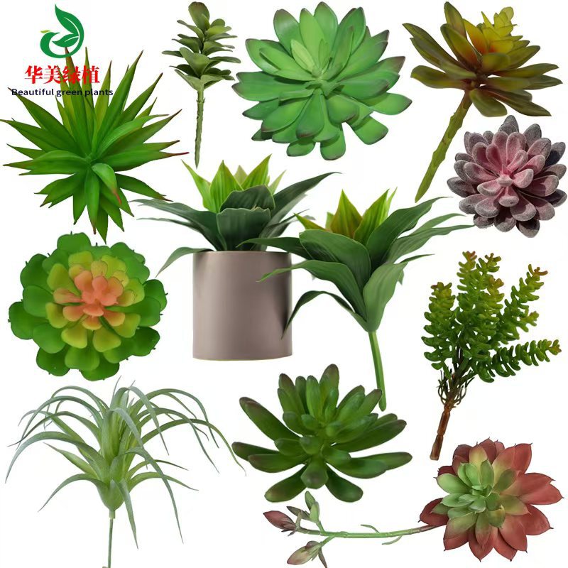 Simulation succulent plant simulation flower head plant wall flower accessories fake succulent plastic flower decoration plant potted plant