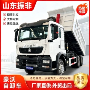 Export of Heavy Duty Truck HOWOTX 6x4 Drive High-Power Engineering Transport Dump Truck, Direct Supply from Manufacturer