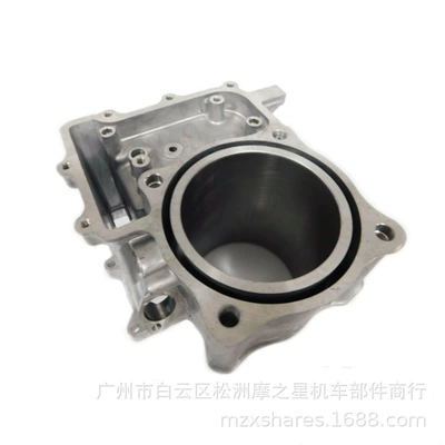 Cylinder and parts of cylinder sxs700 TRX680