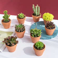 �������k���������������ֲ��ֲ��M�������f��ɽ�J�C��������¶