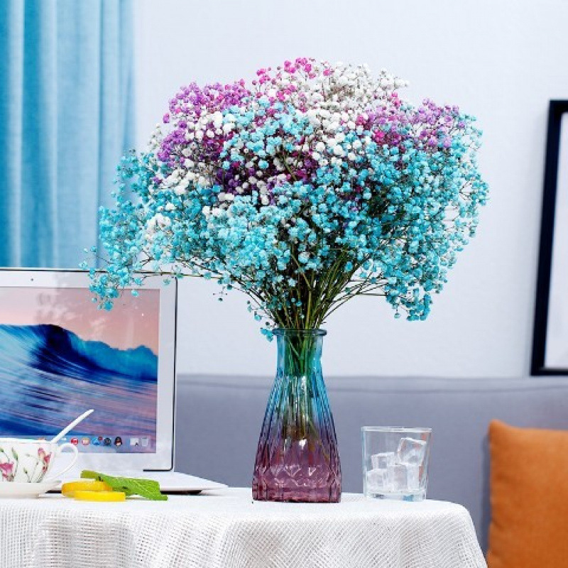 흰색 + 보라색 + 하늘색 + 장미색 아기의 숨결 - 꽃병 없음