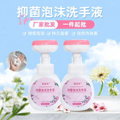 家用儿童泡沫洗手液按压花朵泡沫型抑菌洗手液温和不伤手厂家批发
