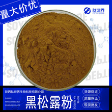 99%黑松露粉 水溶性黑松露提取物黑松露生粉现货量大优惠黑松露粉