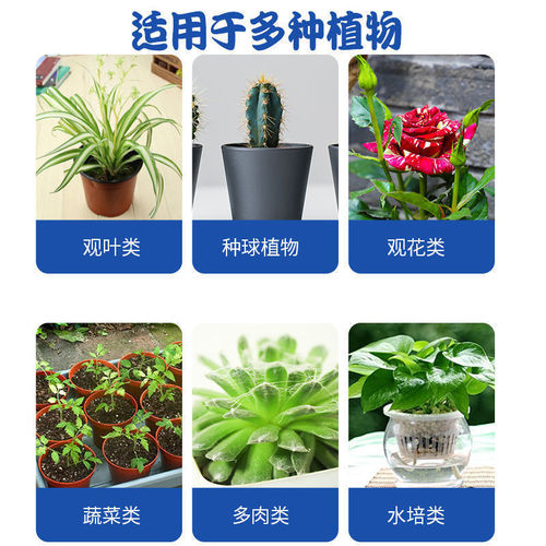 Nutrient solution plant universal flower foliage fertilizer green plant fertilizer green dill rich bamboo fortune flower fertilizer