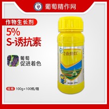 福生 金美红黄瓶5%诱抗素S催红剂夏黑巨峰红提葡萄着色调节剂农用