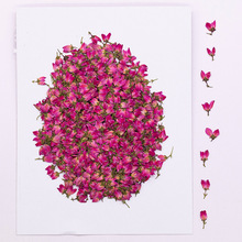 ���}�ۻ���ɻ��������ϰ�Ѻ��diyѺ���������z�ɻ�Ѻ��ֲ��˱�