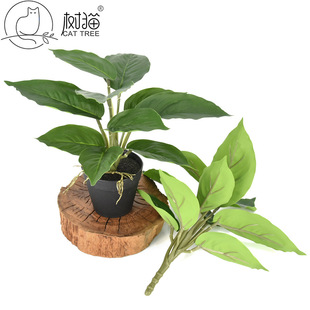 ��؈������~�Gֲ10�~���f�����ָоG�}��֧�ٻ��Ҿ��b��^�~ֲ��