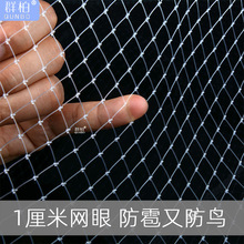 尼龍網濾布果園防鳥網用網芒果天網梨樹塑料網菜園尼龍線陽台魚網