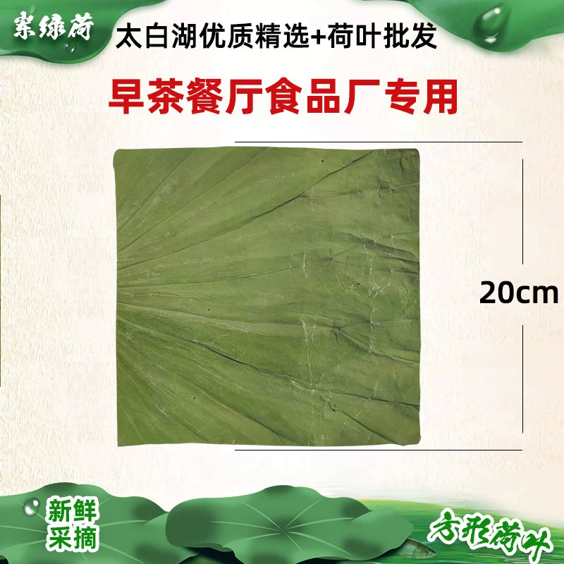 Квадратный сухой лист лотоса вырезать куски 20x20 см оптовая продажа фабрики озера Тайбай квадратный лист лотоса куски