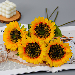 Realistic photography props solar-powered, style, home decor
