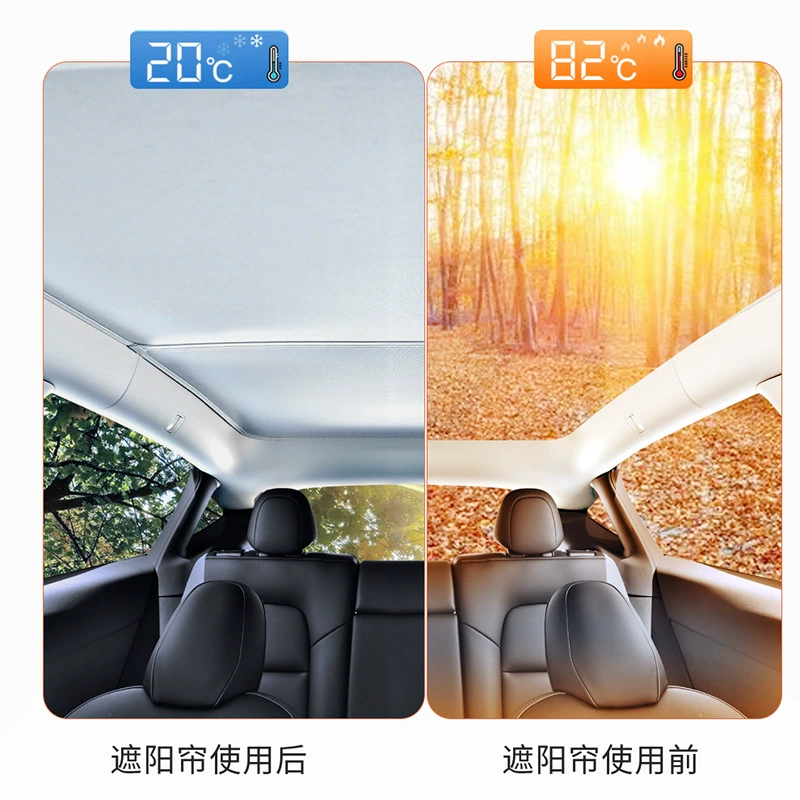 Tesla, canopy, 2023 collection