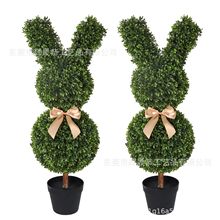 ���R�d�¿�Artificial Bunny-Shaped Topiary Tree���Ә������͘�