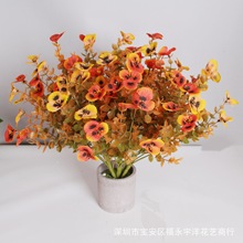 �S�ҹ��� ���滨�ٻ����ϸɻ� �ȼ������վGɫֲ������