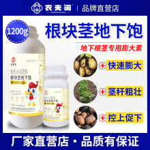 地下猛长地下根茎膨大素土豆莲藕生姜蒜芋头红薯荸荠萝卜等地下茎