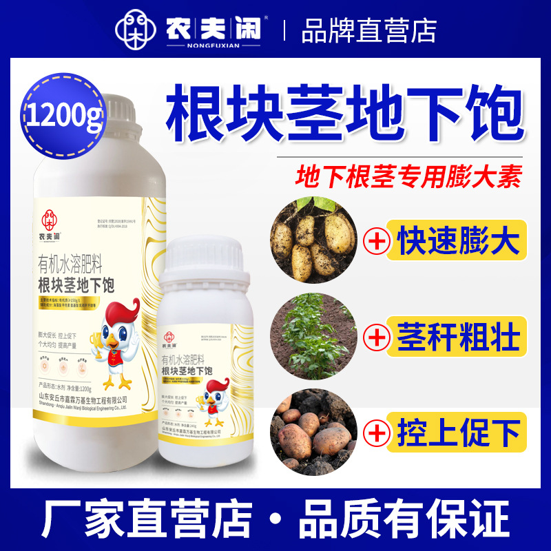 地下猛长地下根茎膨大素土豆莲藕生姜蒜芋头红薯荸荠萝卜等地下茎