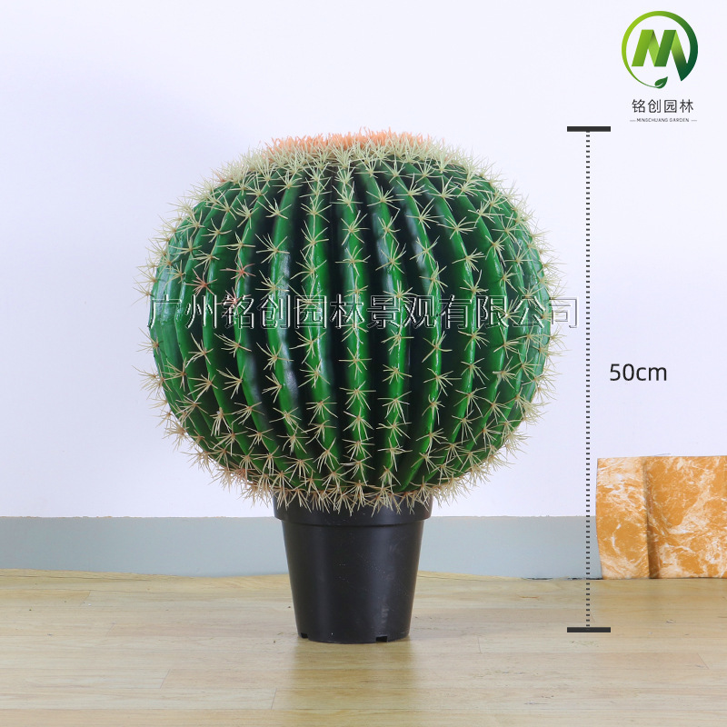 Decoración de paisajismo de plantas falsas en el desierto tropical image 32